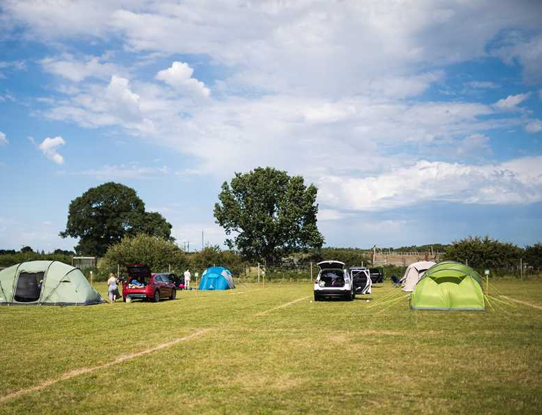 Camp Lion - Photo 2