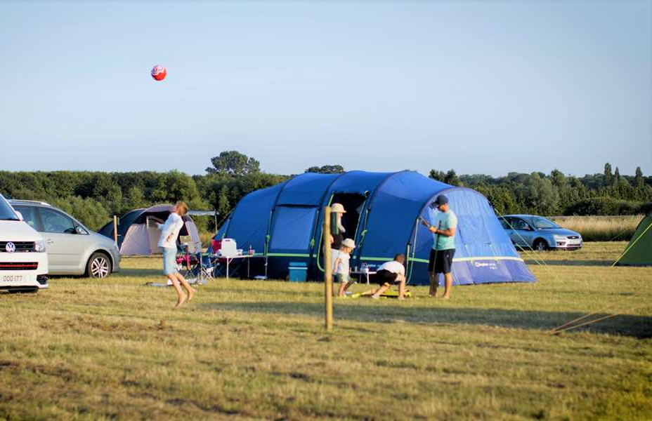 Camp Lion - Photo 3