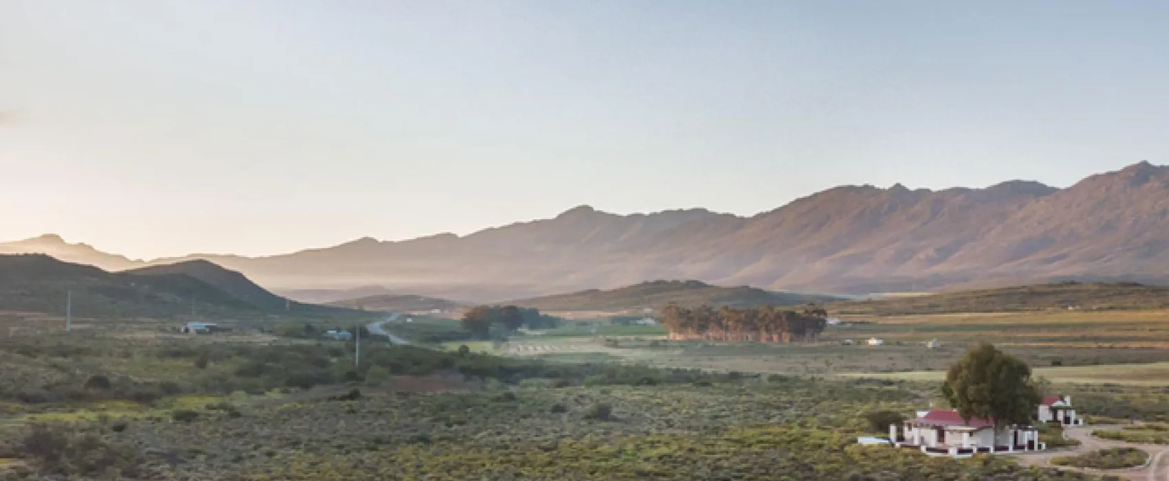 Protea Pod @ Glen Eden