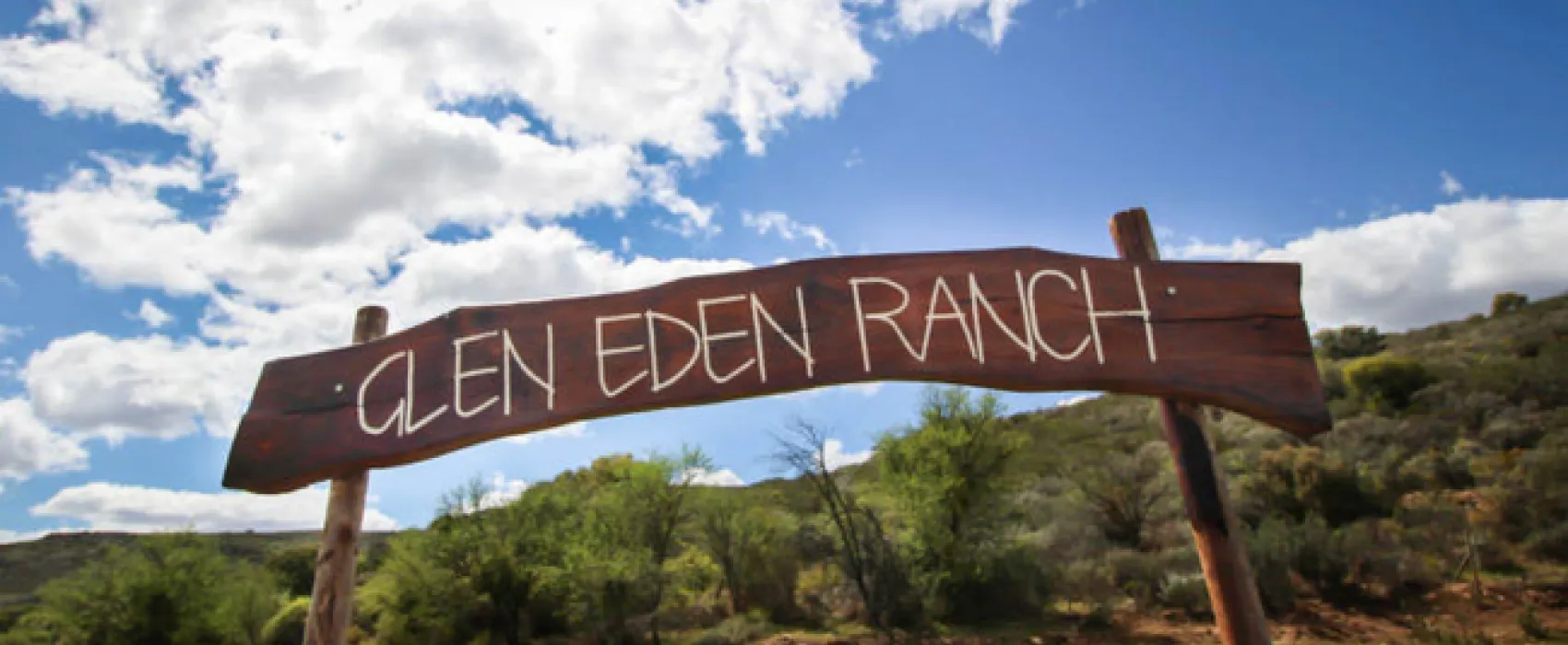 Protea Pod @ Glen Eden