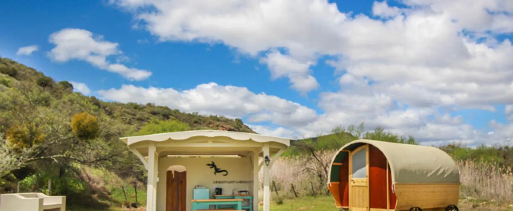 Protea Pod @ Glen Eden