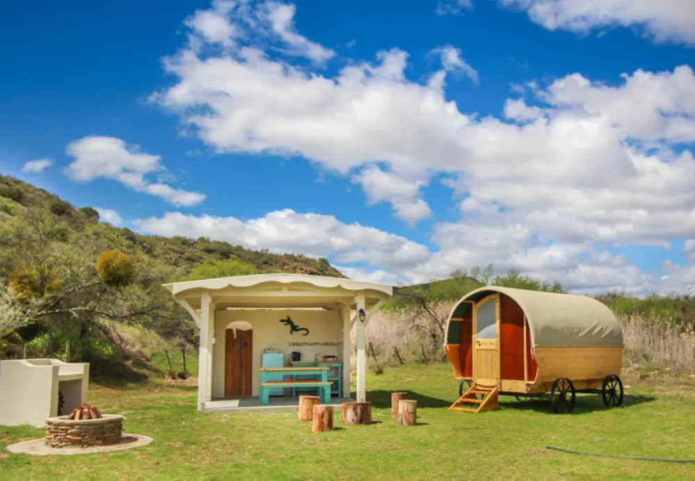 Protea Pod @ Glen Eden
