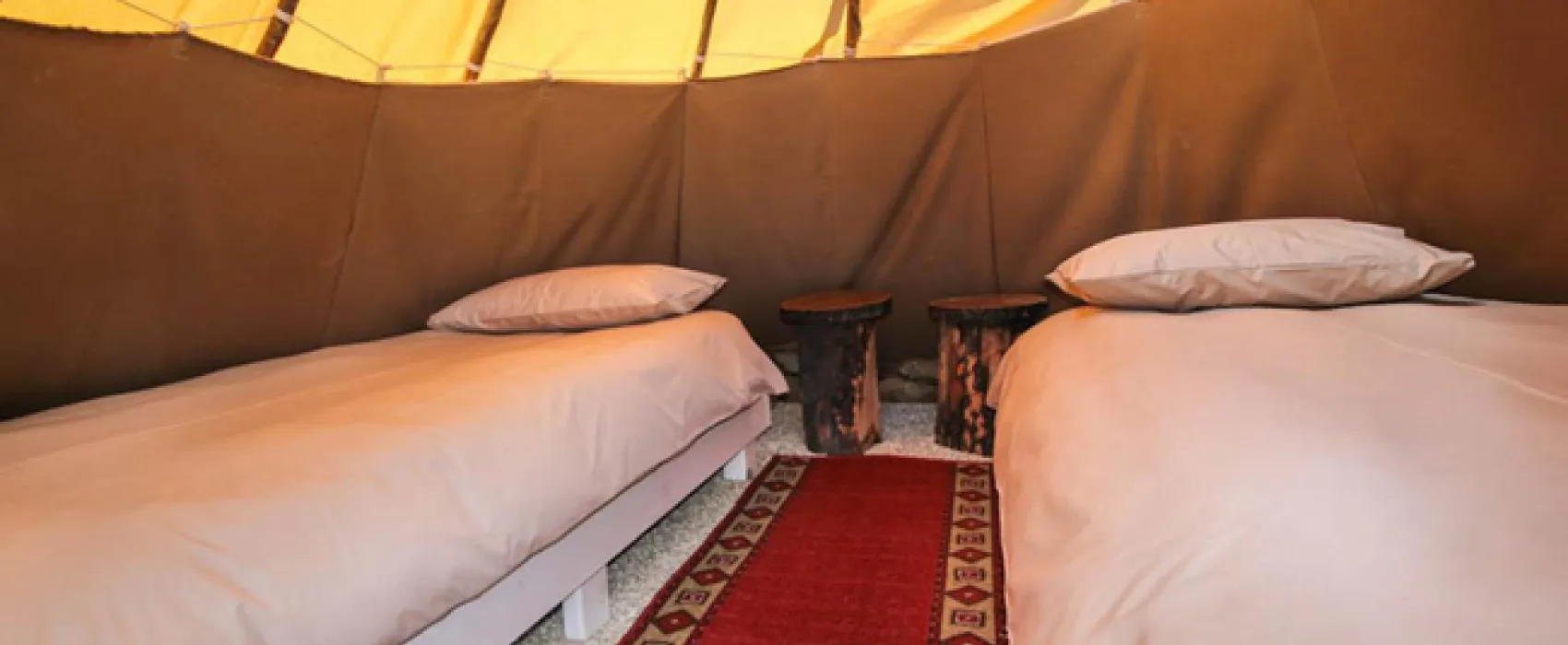 Protea Pod @ Glen Eden