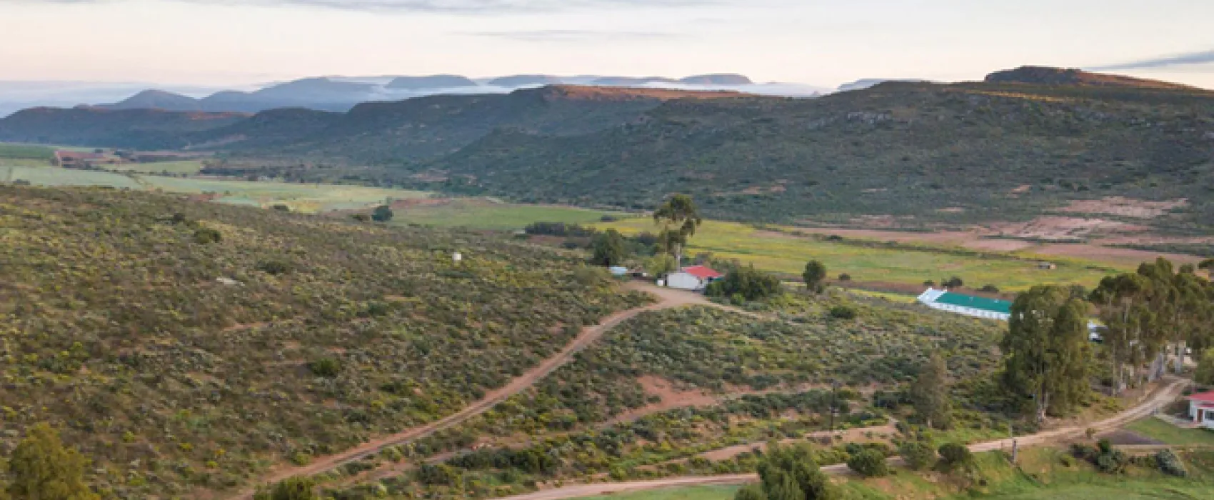 Protea Pod @ Glen Eden