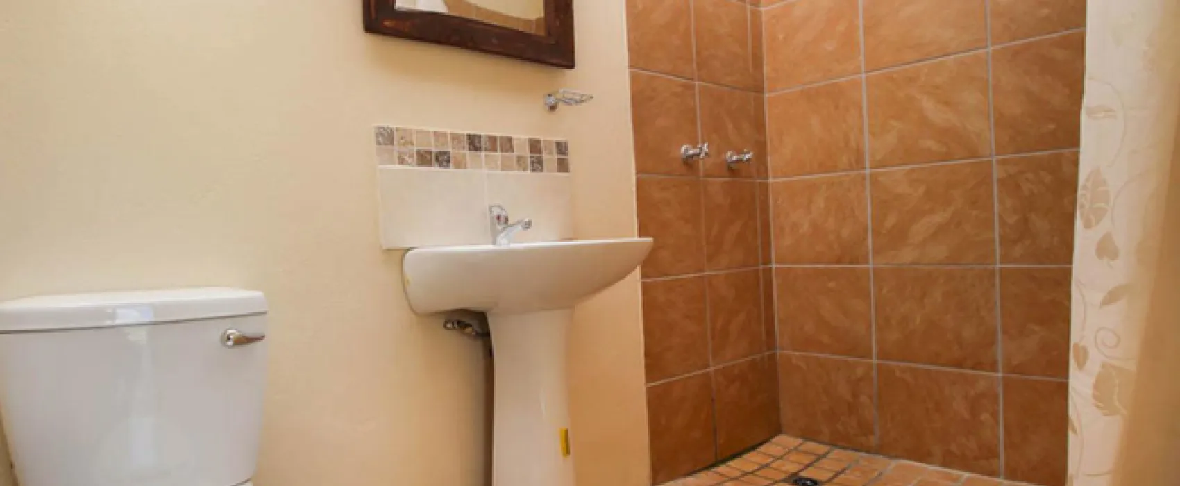 Protea Pod @ Glen Eden