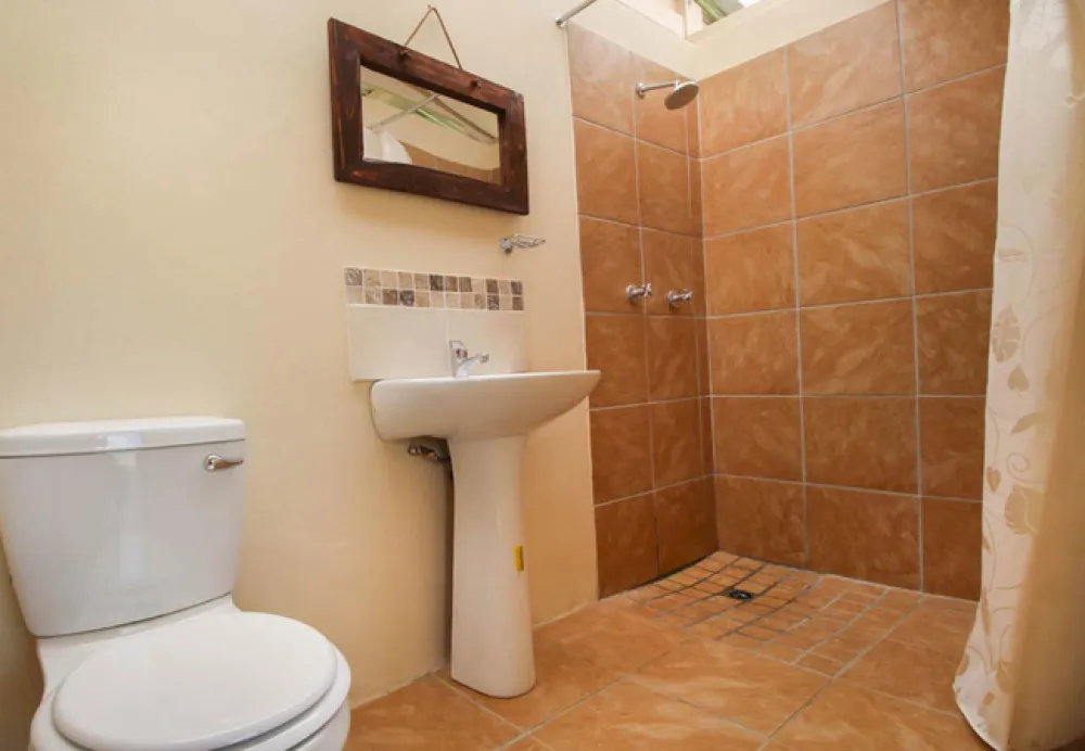 Protea Pod @ Glen Eden