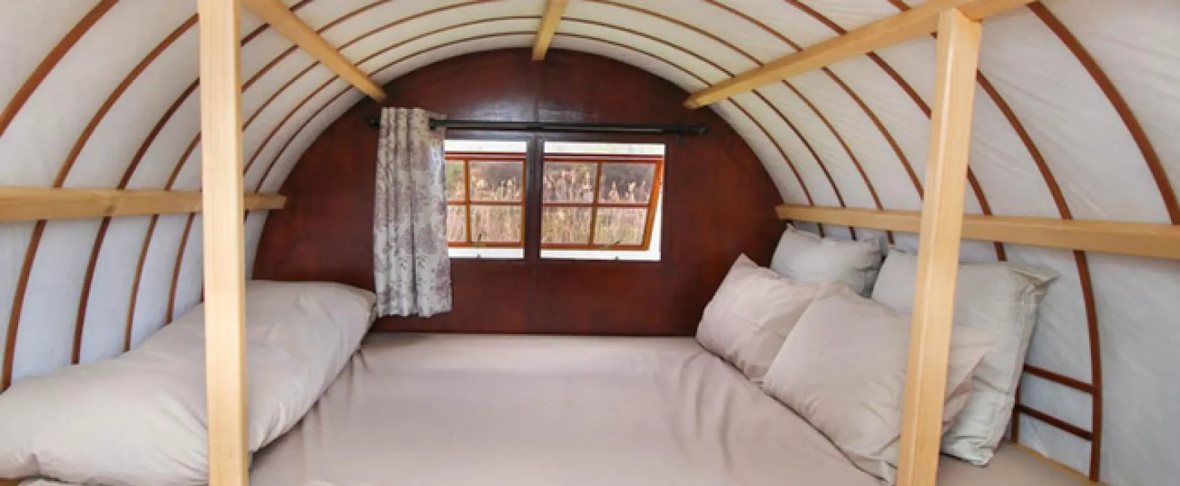 Protea Pod @ Glen Eden