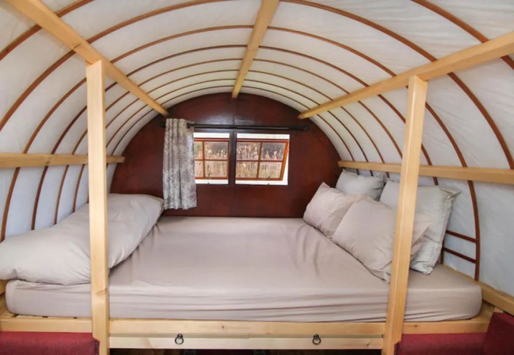 Protea Pod @ Glen Eden