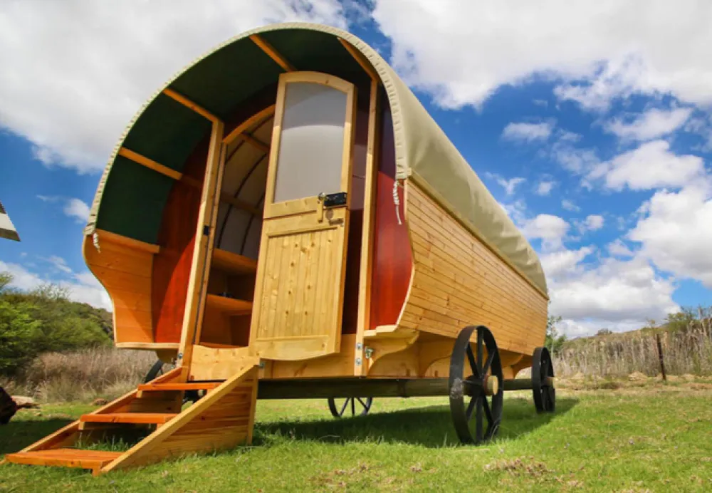 Protea Pod @ Glen Eden