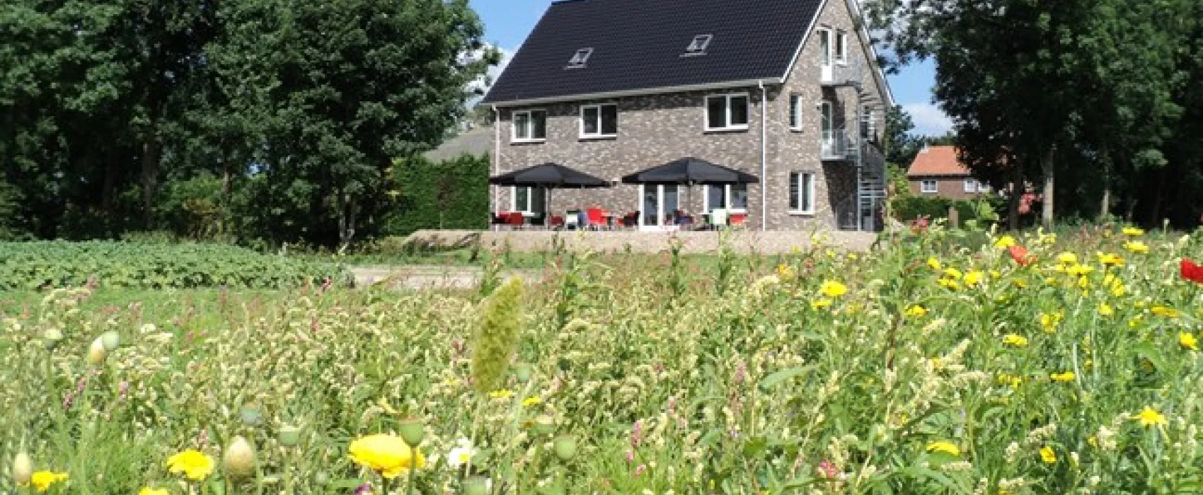 Vakantiehuizen en B&B Gastvrij Schokland