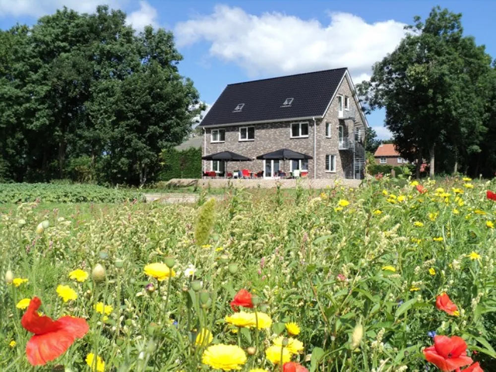 Vakantiehuizen en B&B Gastvrij Schokland