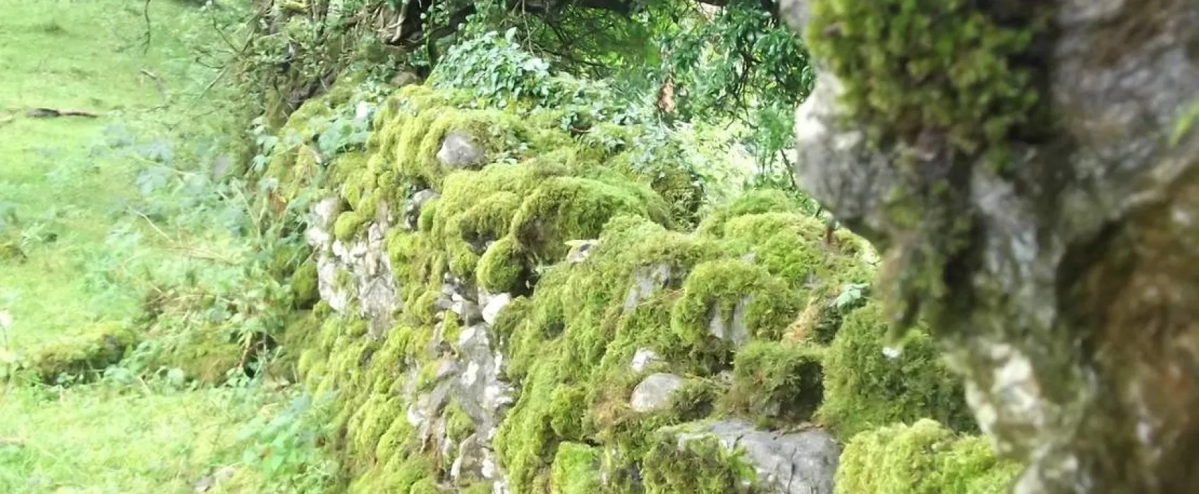 Green Hills Farm Stay