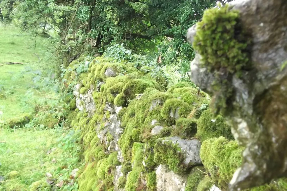 Green Hills Farm Stay