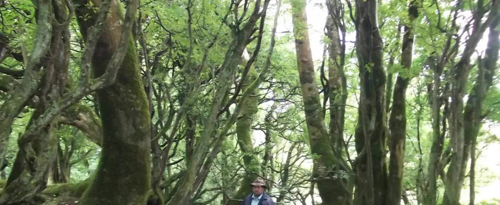 Green Hills Farm Stay