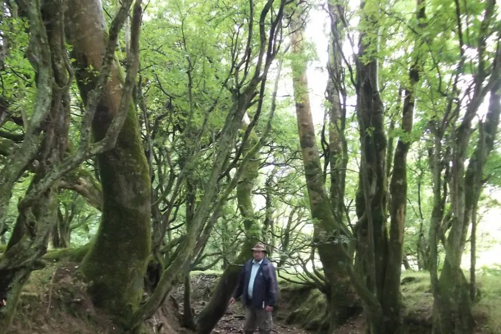 Green Hills Farm Stay