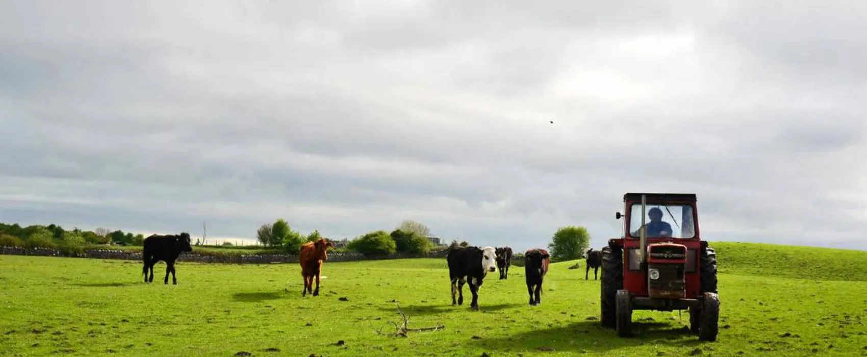 Green Hills Farm Stay