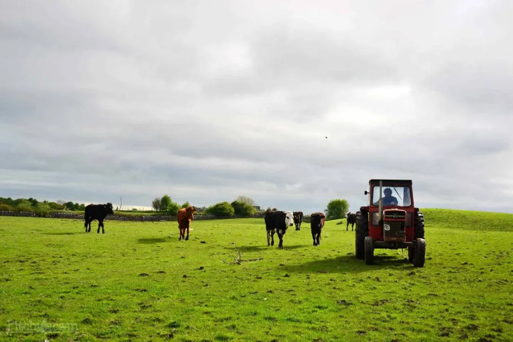 Green Hills Farm Stay