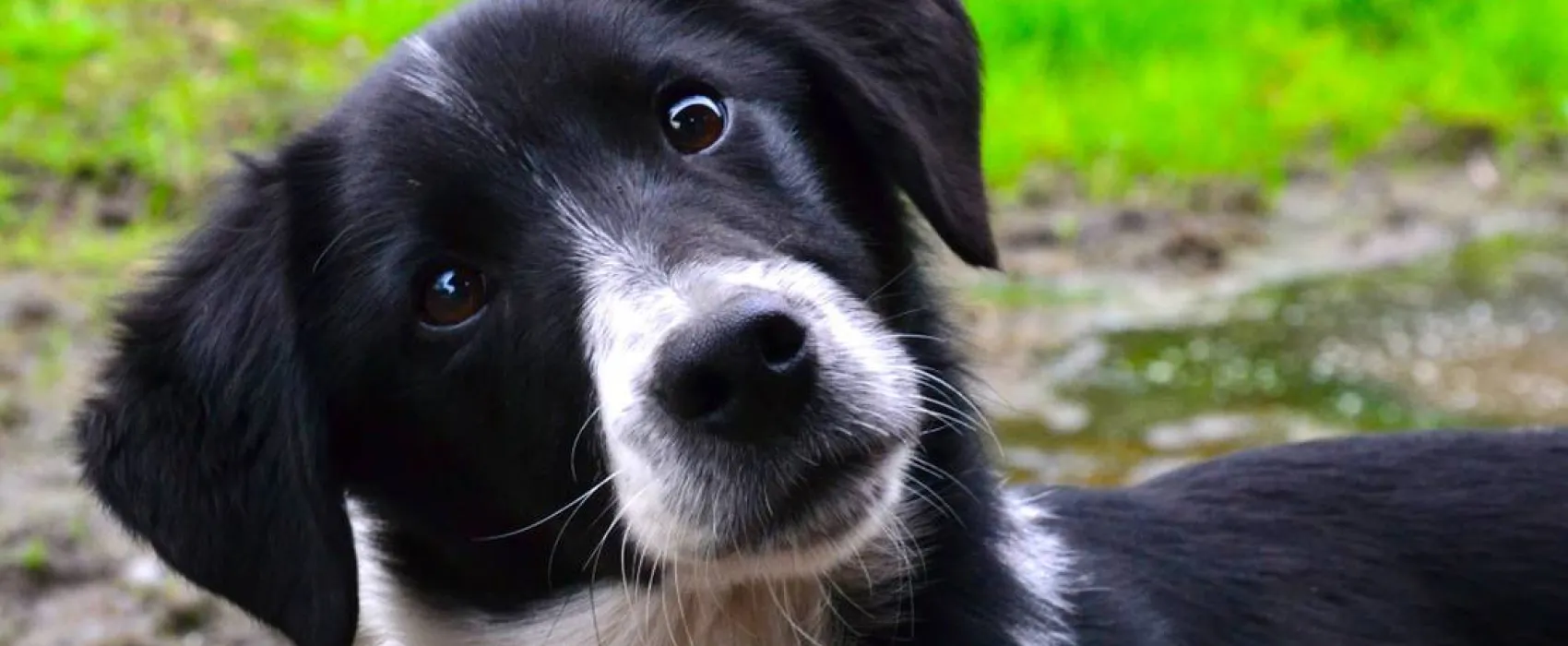 Green Hills Farm Stay