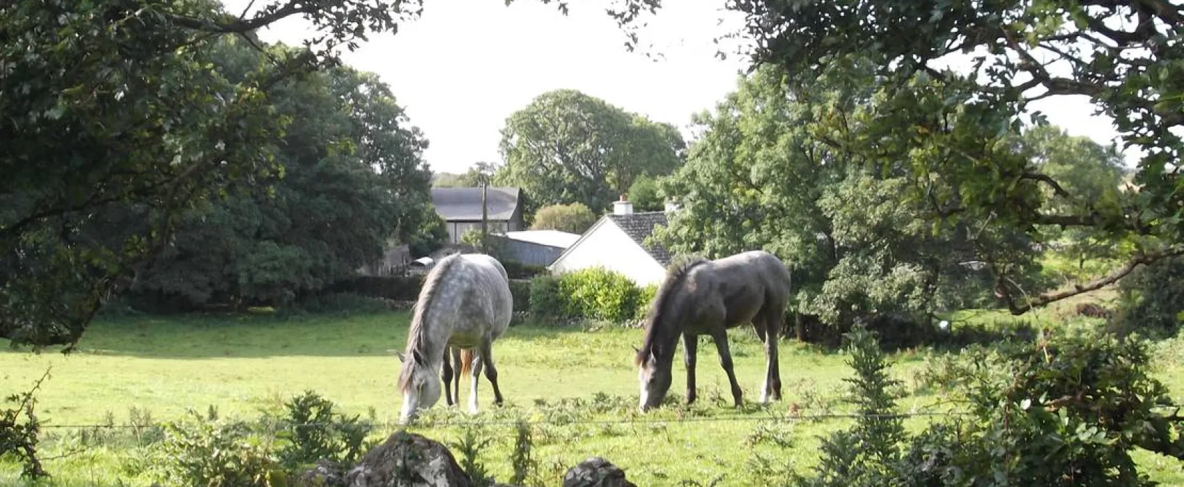 Green Hills Farm Stay