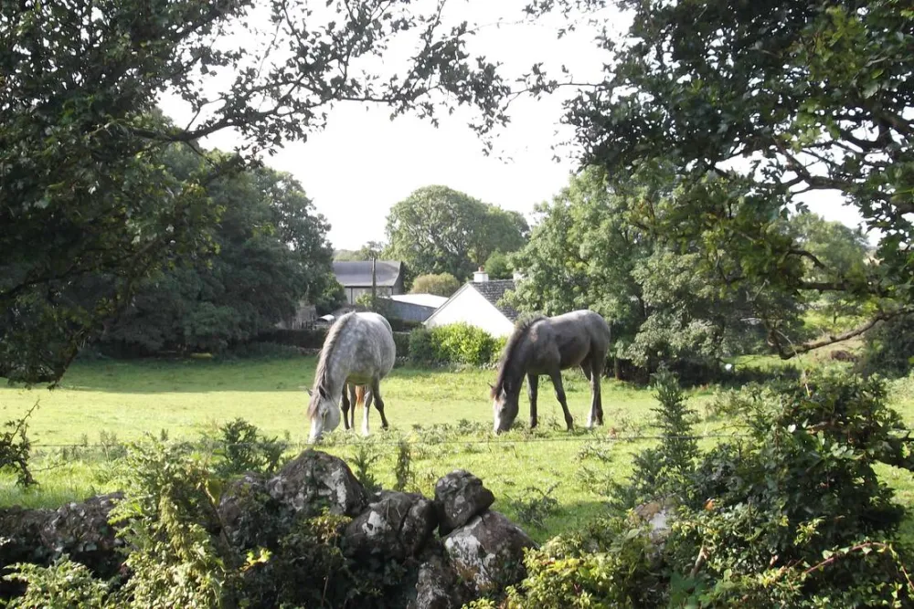 Green Hills Farm Stay