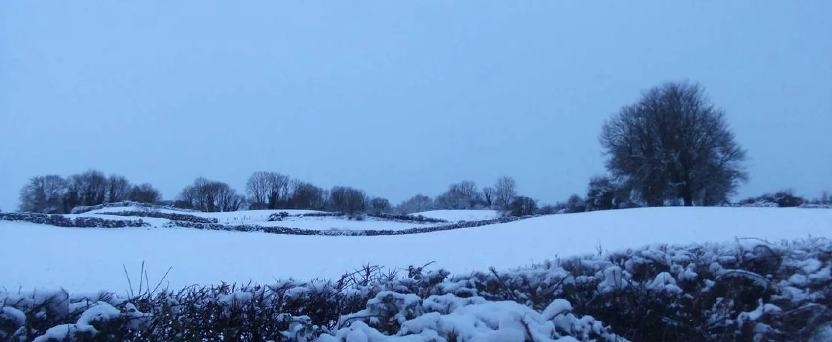 Green Hills Farm Stay