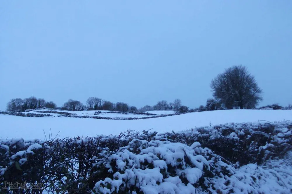 Green Hills Farm Stay