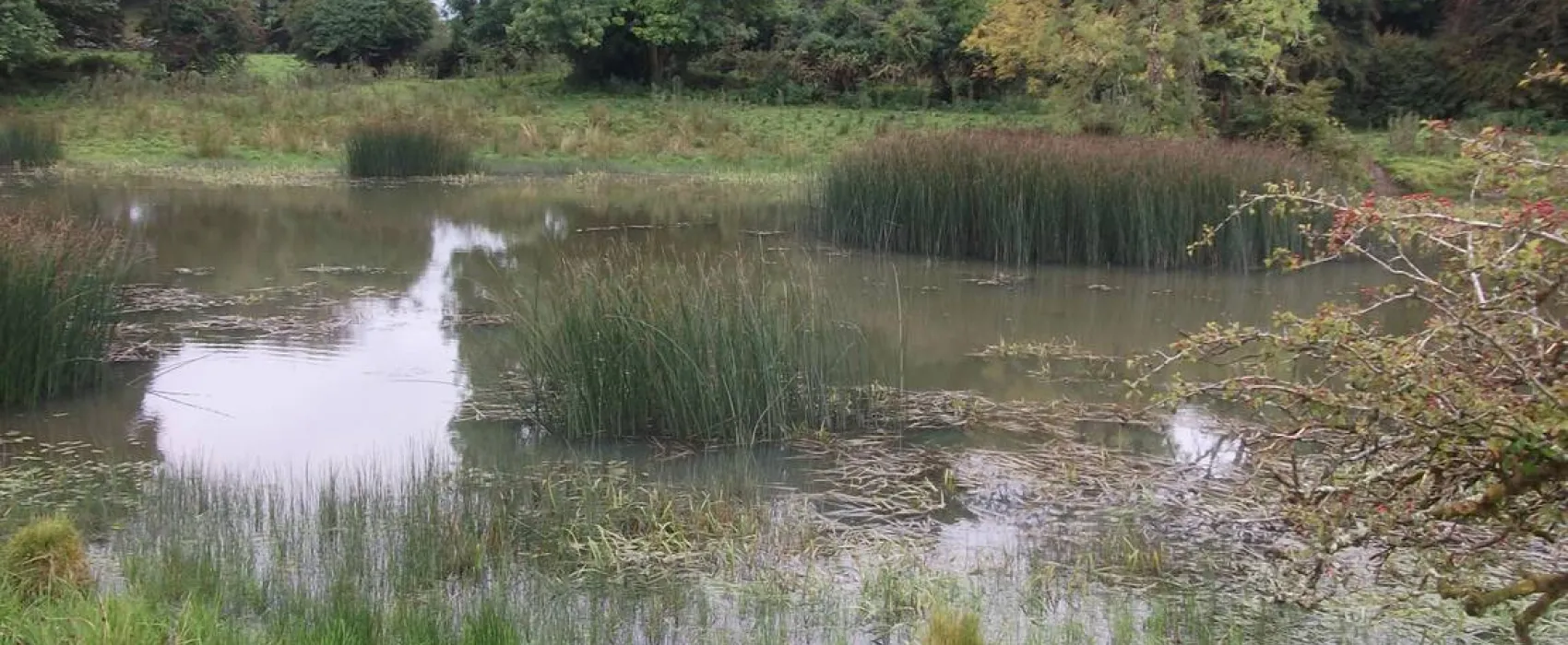 Green Hills Farm Stay