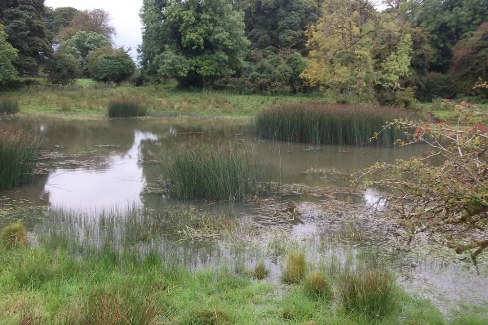 Green Hills Farm Stay