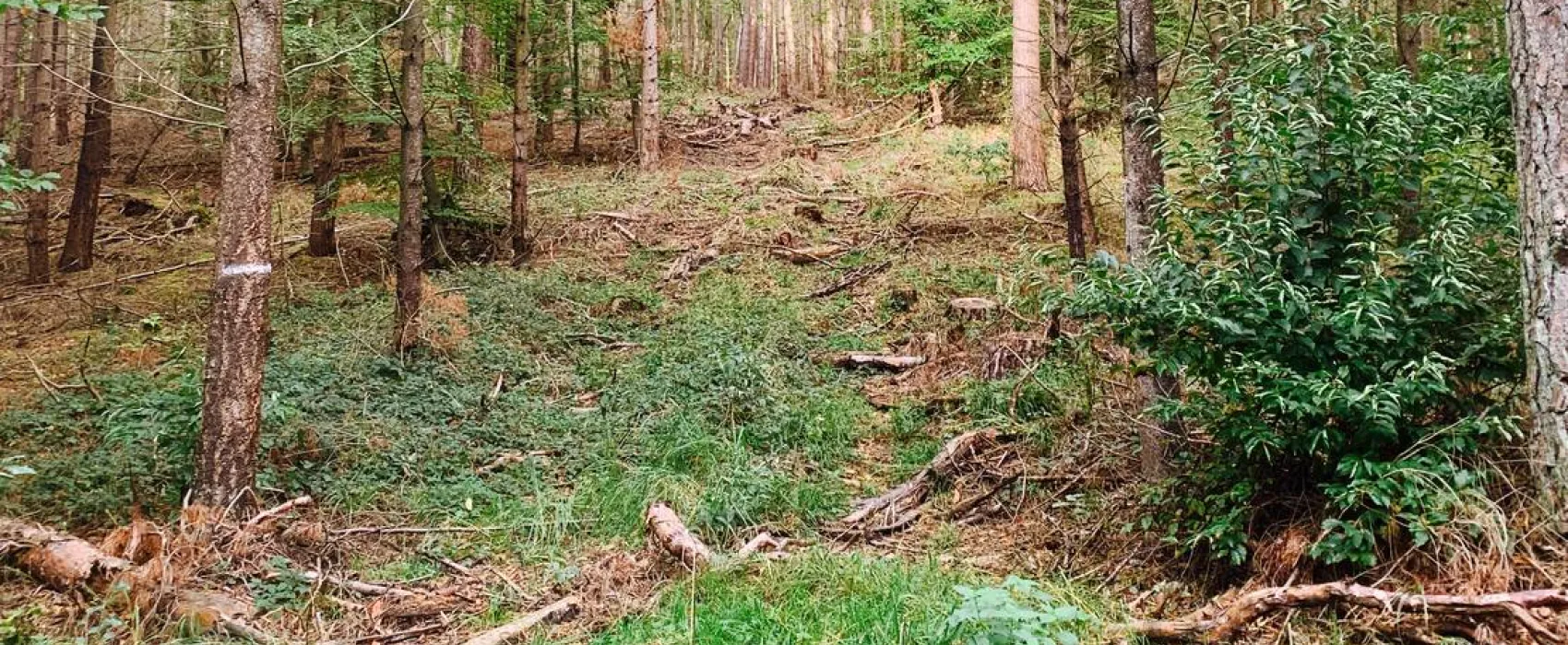 Campingplatz am Garder See GmbH