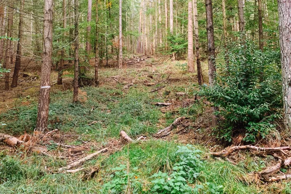 Campingplatz am Garder See GmbH