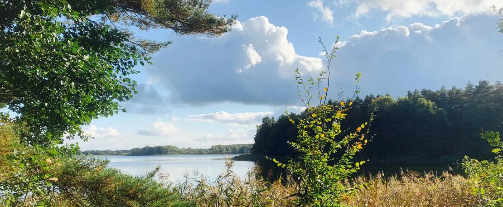 Campingplatz am Garder See GmbH