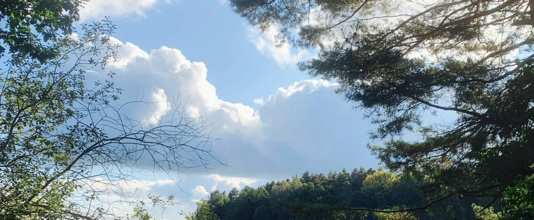 Campingplatz am Garder See GmbH