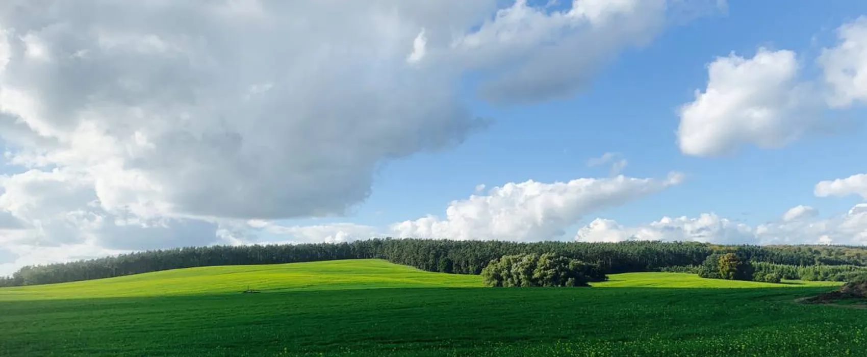 Campingplatz am Garder See GmbH