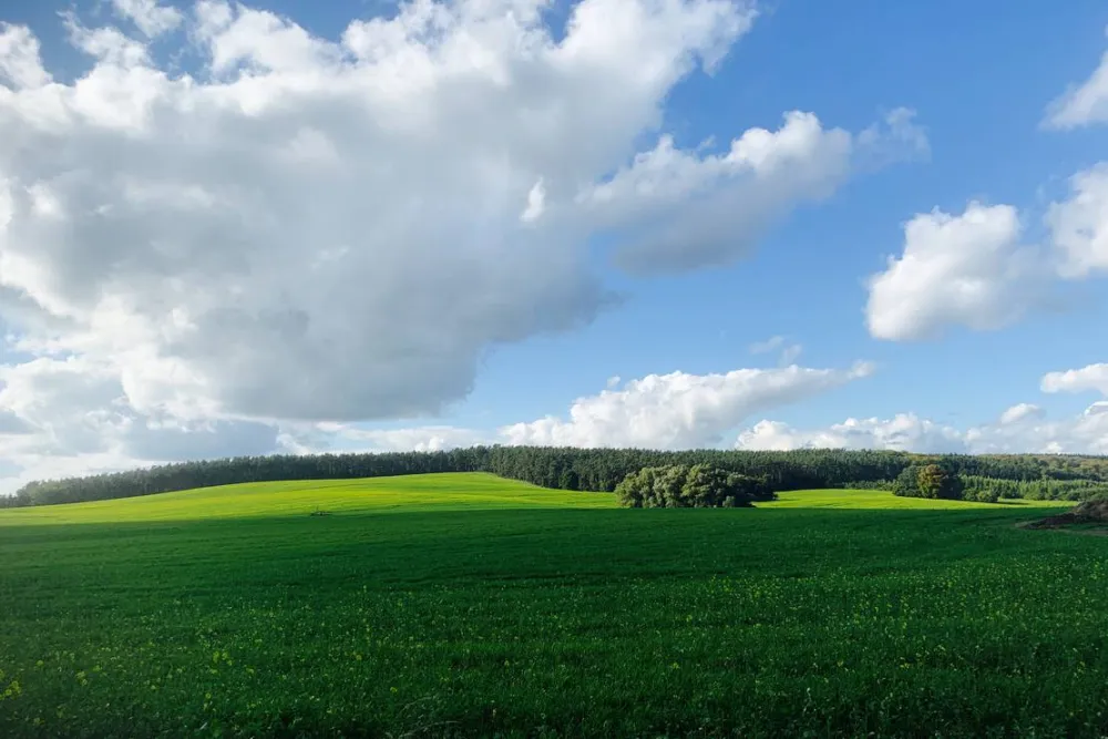 Campingplatz am Garder See GmbH