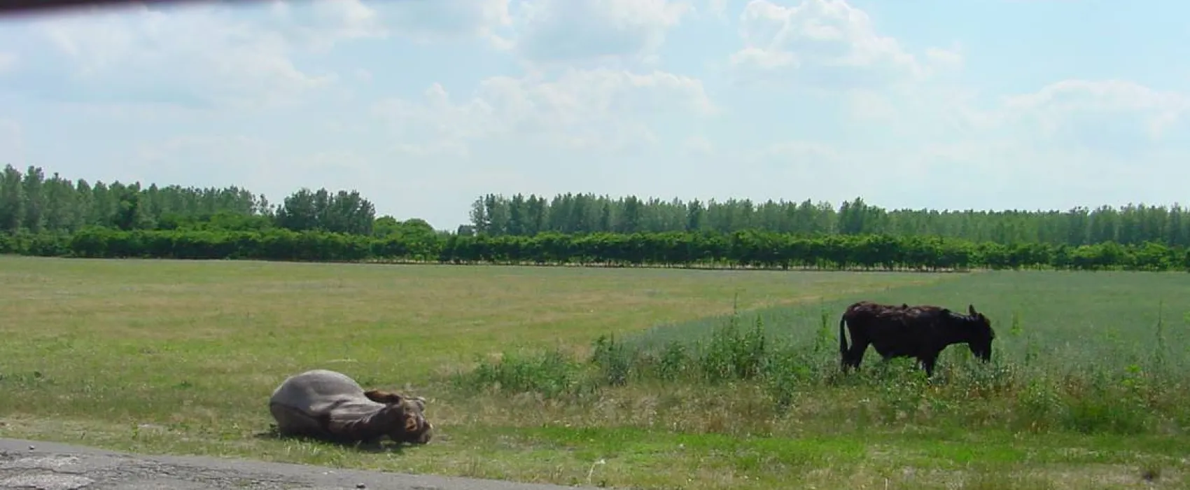 Hongarije Poesta Mini-Camping