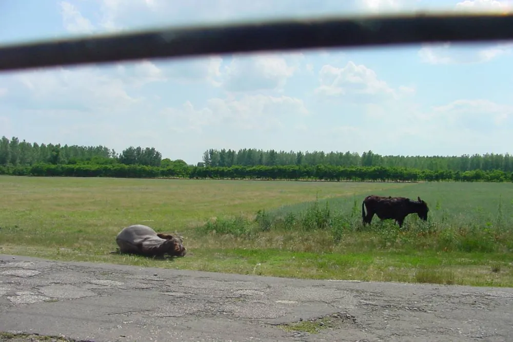 Hongarije Poesta Mini-Camping