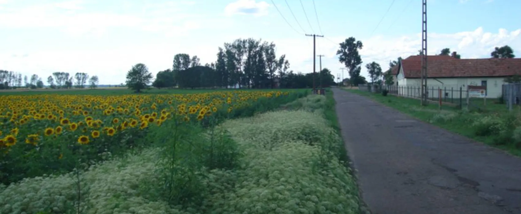 Hongarije Poesta Mini-Camping