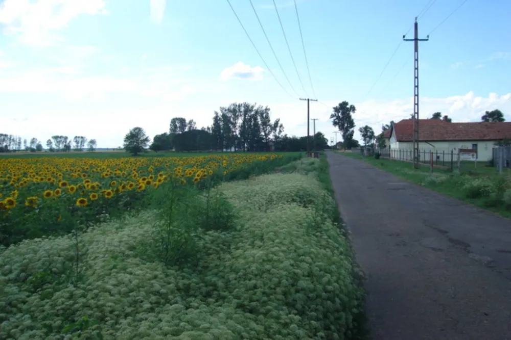 Hongarije Poesta Mini-Camping