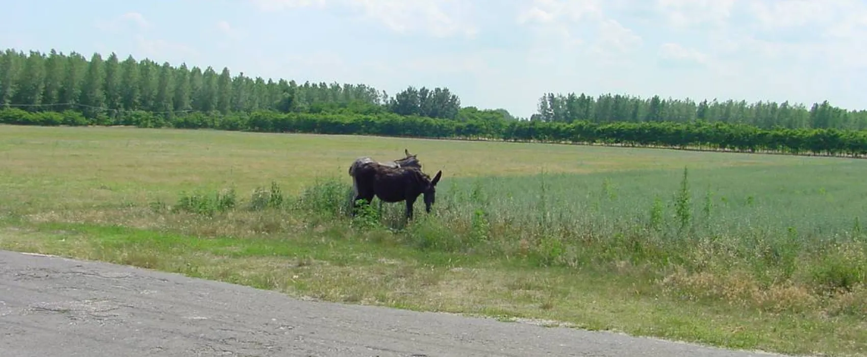 Hongarije Poesta Mini-Camping