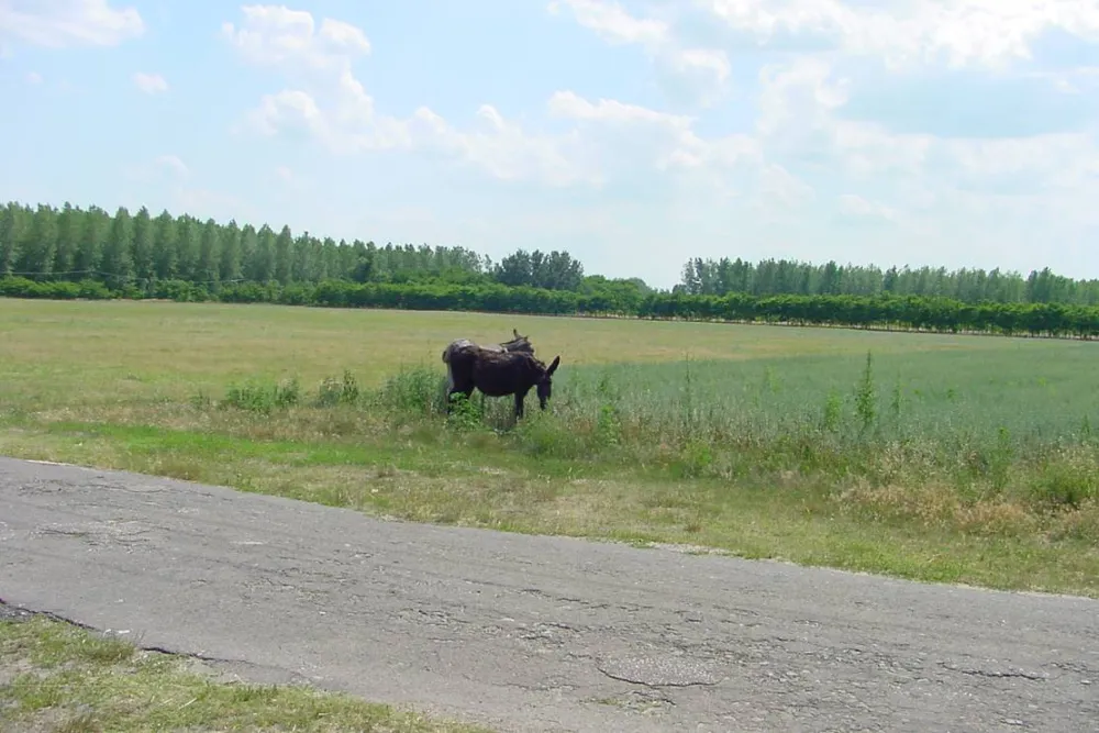 Hongarije Poesta Mini-Camping