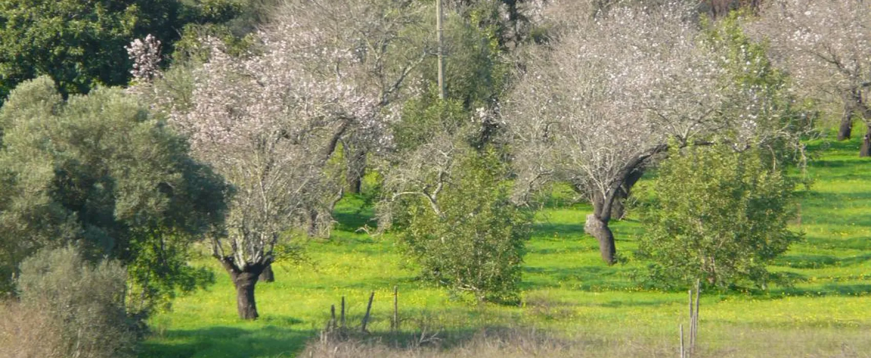 Park Caravaning Rural