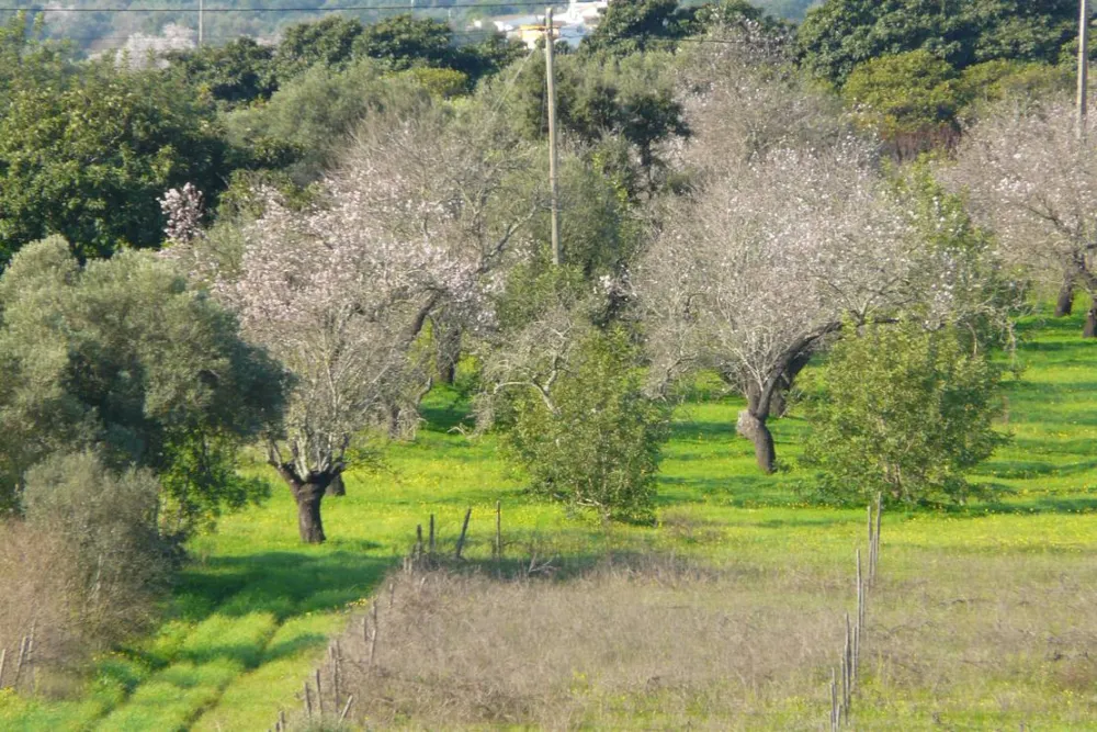 Park Caravaning Rural