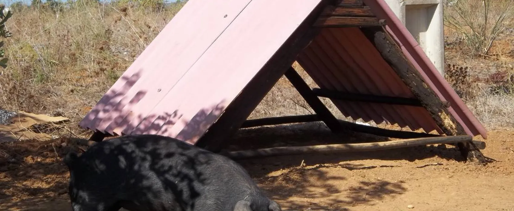 Park Caravaning Rural