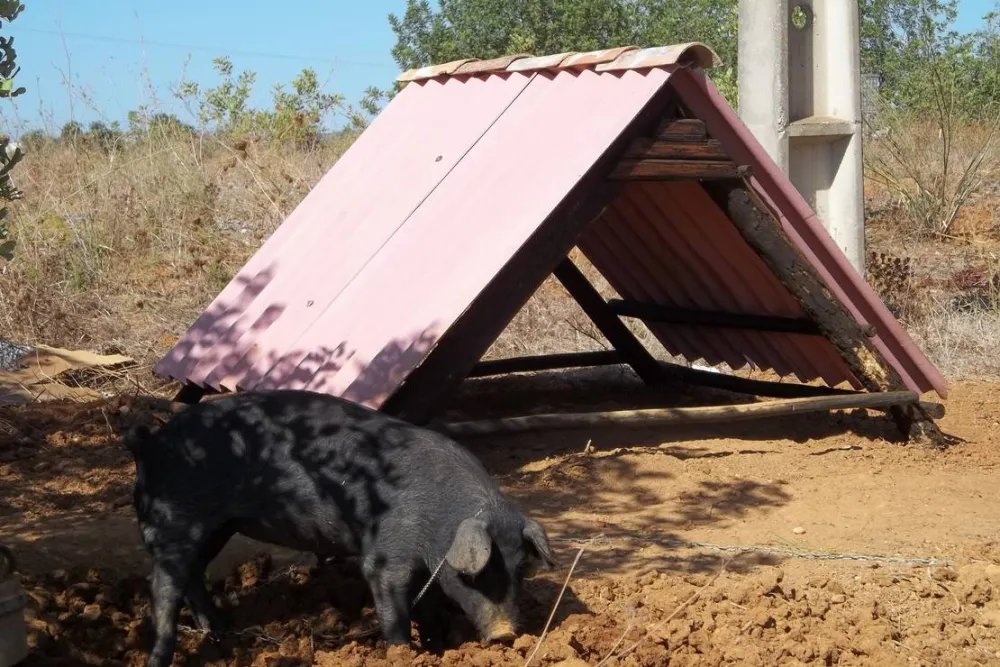 Park Caravaning Rural