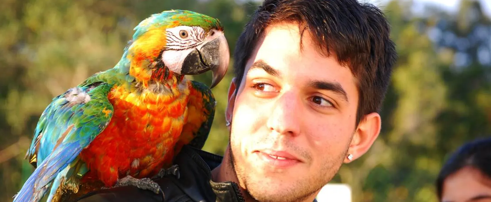 Park Caravaning Rural