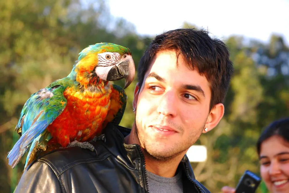 Park Caravaning Rural