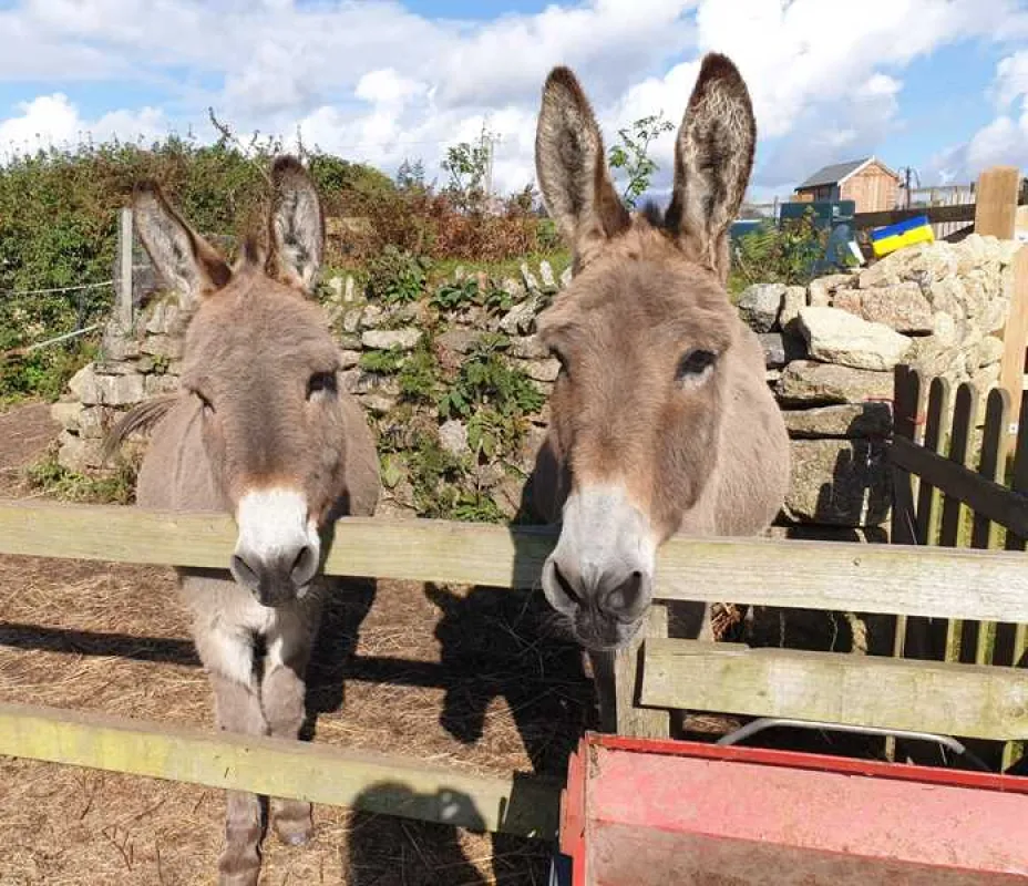 Roselidden House Camping