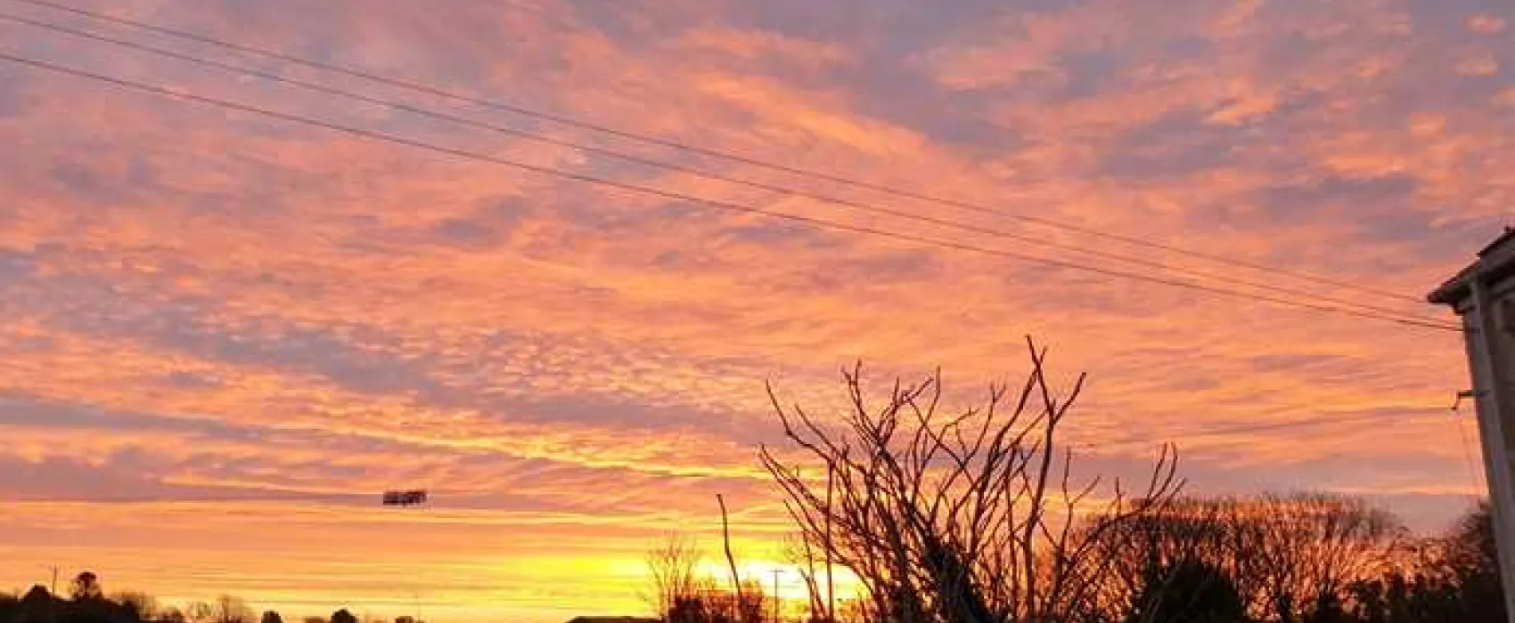 Roselidden House Camping