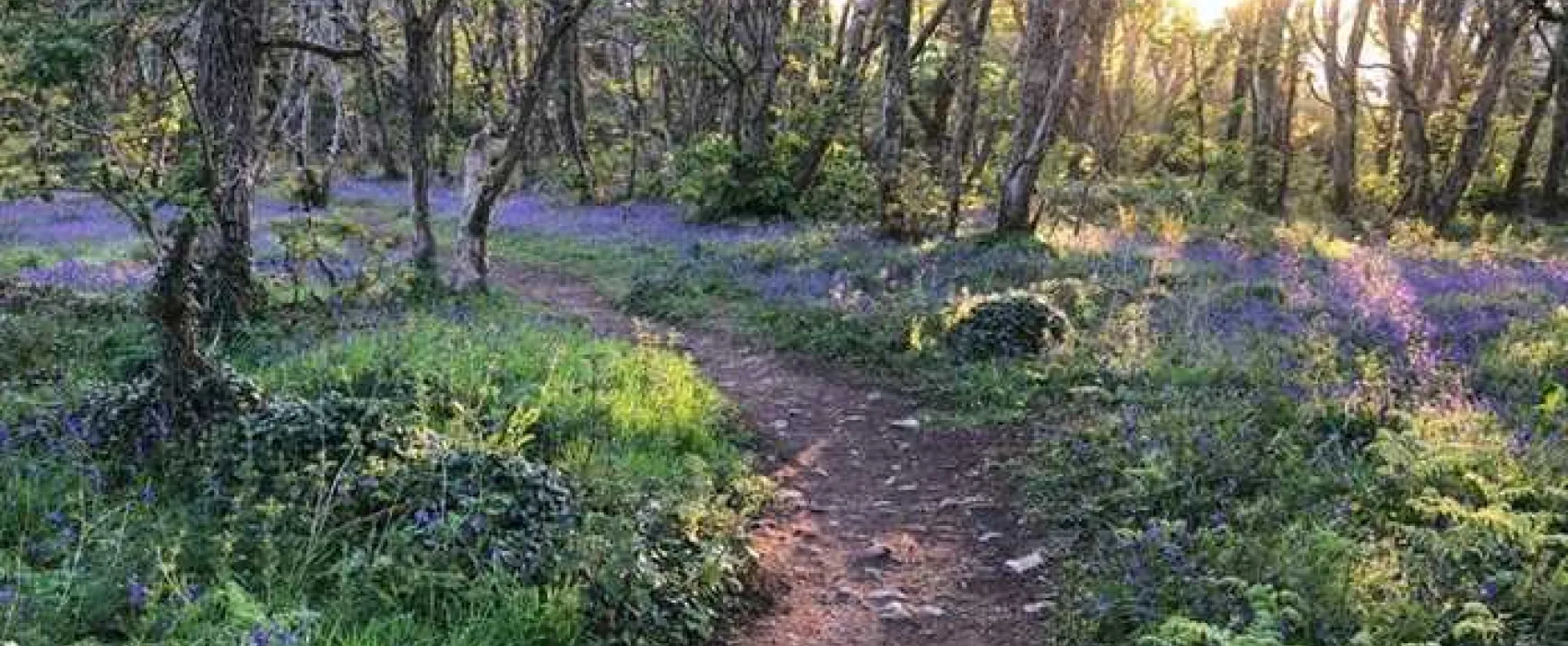 Roselidden House Camping