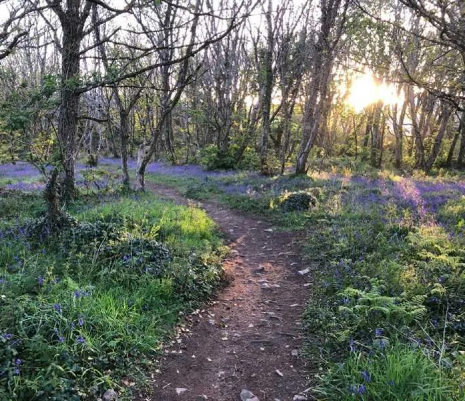 Roselidden House Camping